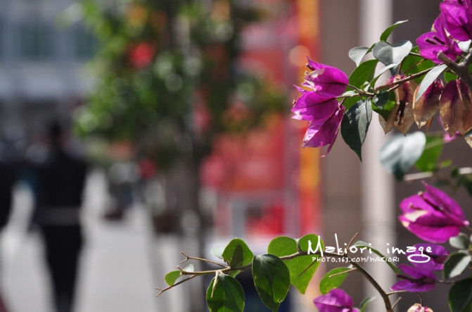 厦门吃喝玩特色,厦门吃喝玩乐烧烤