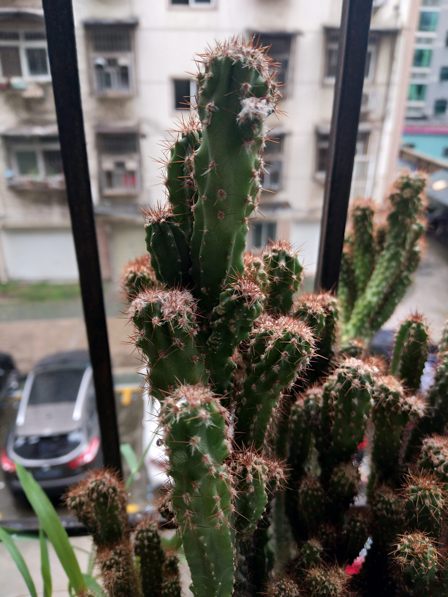 vivox9s拍照好不好,vivo自拍软件推荐