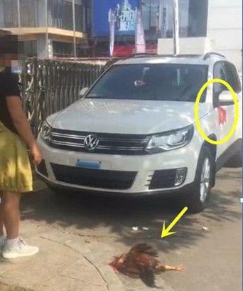 买新车一般需要怎么庆祝,买了新车用什么方法庆祝