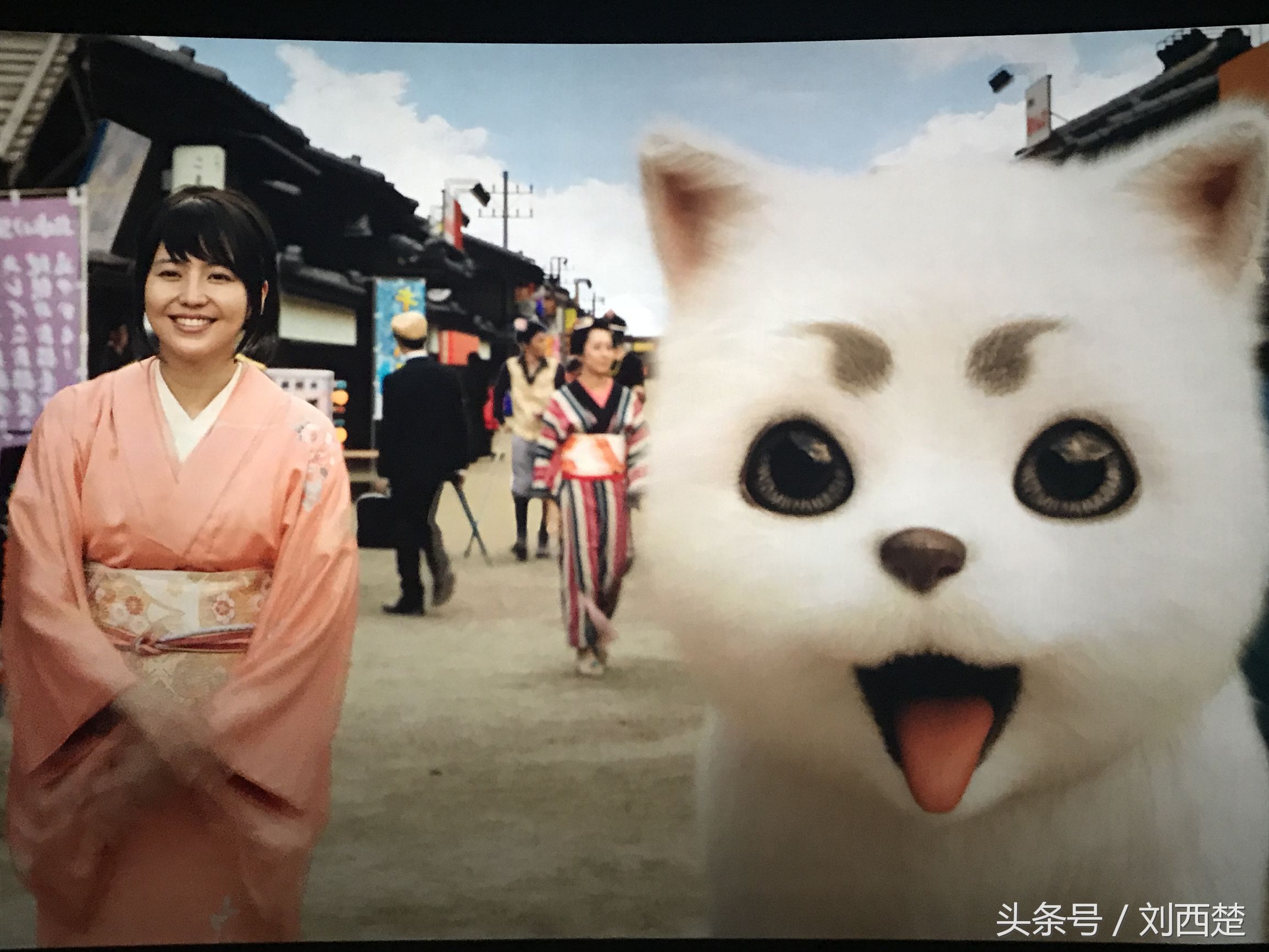 银魂真人电影有哪些梗,银魂新八吐槽自己真人版