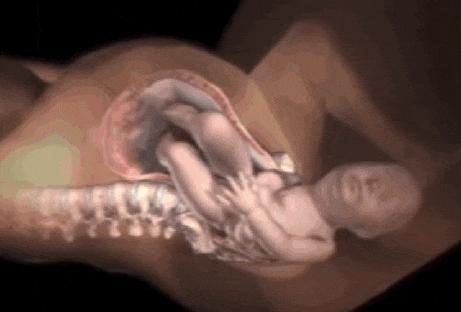 瞬间明白顺产全过程，让你知道生孩子到底有多痛？看完感觉扎心了