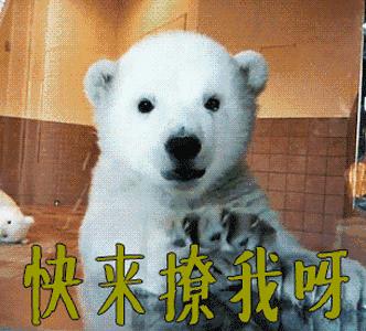 韩国美妆博主pony推荐美容仪,韩国美妆达人pony近期美照合集