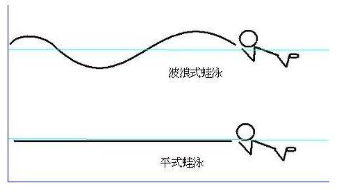 新手小白如何自学蛙泳,怎么学零基础蛙泳最快最简单