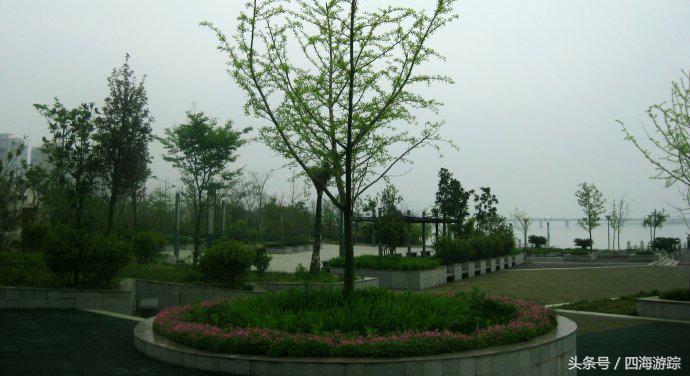 浙江玉环漩门湾国家湿地公园灯光,浙江玉环漩门湾湿地公园拍鸟