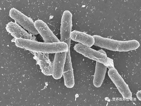 太阳蛋芒果好吃吗,太阳蛋的10种吃法