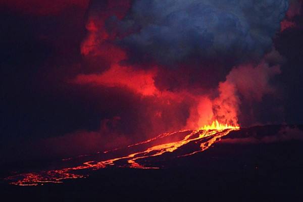 人类把自己当成万物之灵,失去人类的地球将会有什么改变