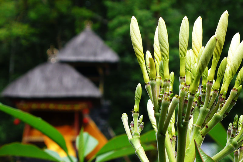 你还去巴厘岛穿越人山人海？聪明旅者已经在龙目岛享受安静时光