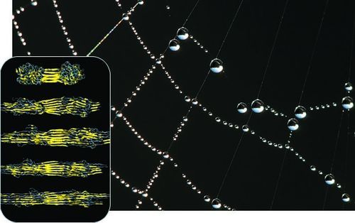 蜘蛛侠英雄归来蜘蛛侠穿蜘蛛侠战衣,蜘蛛侠英雄归来解析