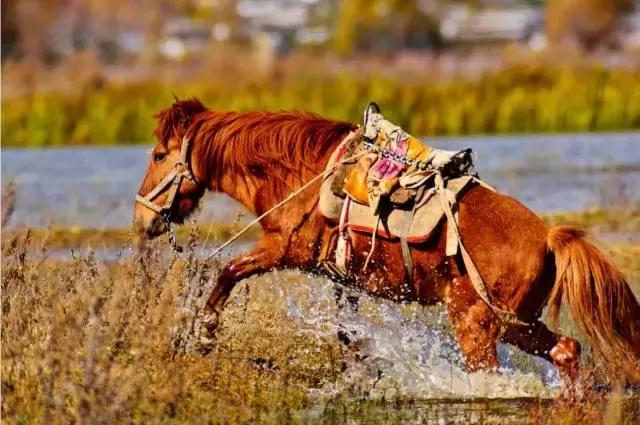 西安直飞云南大理机票,西安飞丽江飞机票价格
