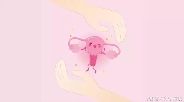 清宫保护卵巢的方法,散养鸡怎样保护卵巢