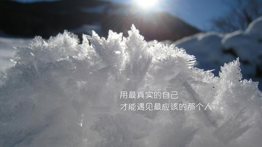 南开大学国际贸易研究生就业前景,国际贸易投资管理专业就业前景