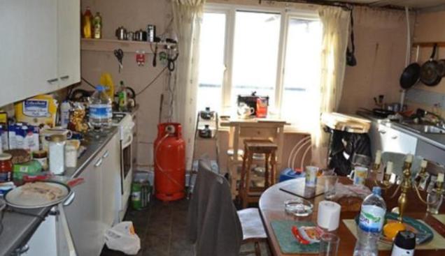 成为欧洲贵族，拥有“永生”爵位，只需要一袋猫粮的价格