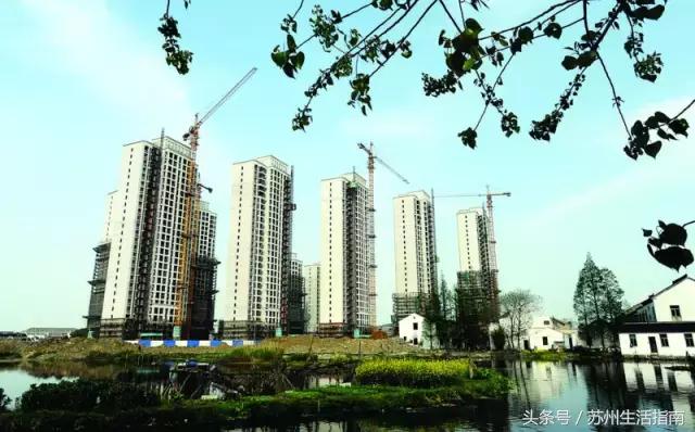 黄桥滨河家园,黄桥景观绿化