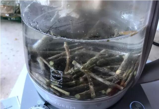 北鼎养生壶好在哪里,北鼎养生壶真的养生吗