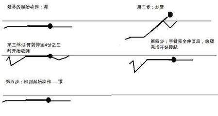 新手小白如何自学蛙泳,怎么学零基础蛙泳最快最简单