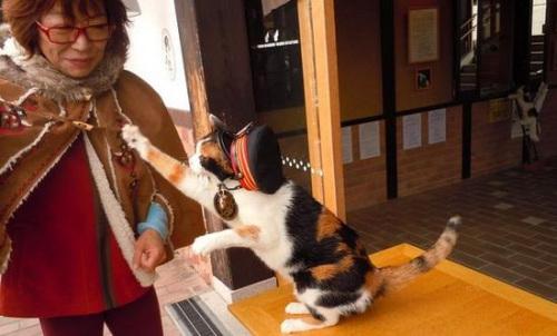 小米mix2尊享版有什么用,小米mix2尊享版入手