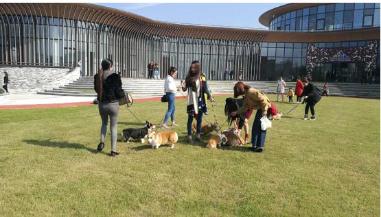 小米mix2尊享版有什么用,小米mix2尊享版入手