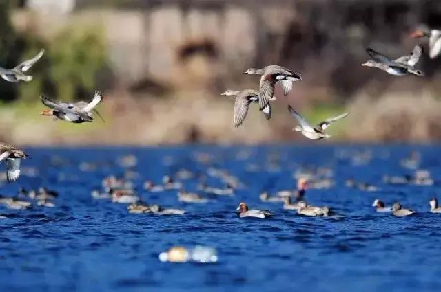 西安直飞云南大理机票,西安飞丽江飞机票价格