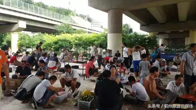 麻核桃蓟县,蓟县野生麻核桃图片