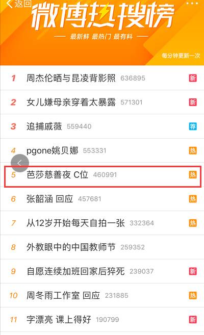 芭莎慈善夜的捐款到哪里了,芭莎慈善捐款名单曝光事件