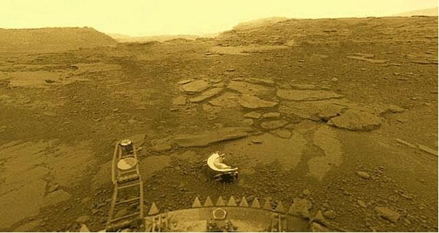 人类把自己当成万物之灵,失去人类的地球将会有什么改变