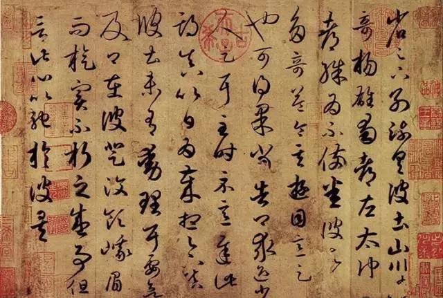 兰花到底美在哪里为什么那么贵,兰花之美只有中国人最懂