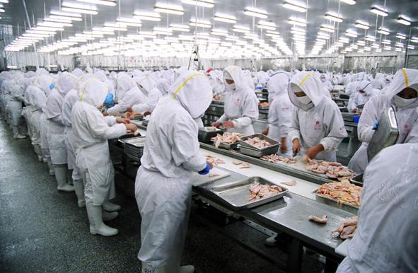 致癌和中毒二选一，揭露火腿肠的真面目！不要再跟健康过不去了