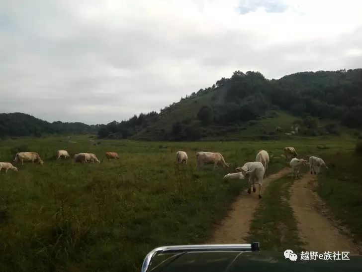 嵩县车村大草原,嵩县风景推荐