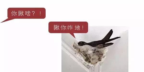 干了这杯“粪酒”,你说什么我都信!