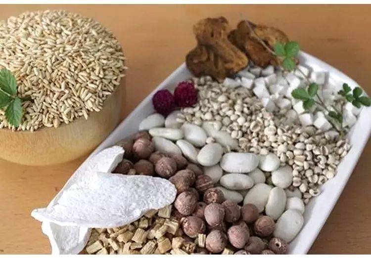 湿气重不是虚寒体质又不能喝薏米,薏米除湿为什么湿气重又不能吃