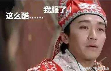 故事连载：一个女人的江湖（二十九、周密的计划）