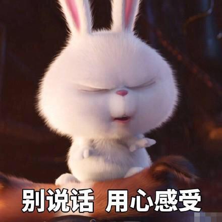 后宫动漫推荐男主超强却隐藏实力,男主是龙傲天坐拥后宫无数的动漫