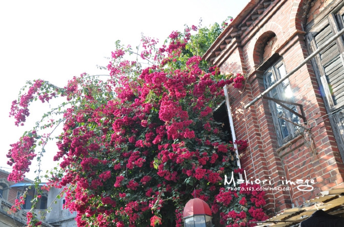 厦门吃喝玩特色,厦门吃喝玩乐烧烤