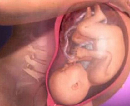 瞬间明白顺产全过程，让你知道生孩子到底有多痛？看完感觉扎心了