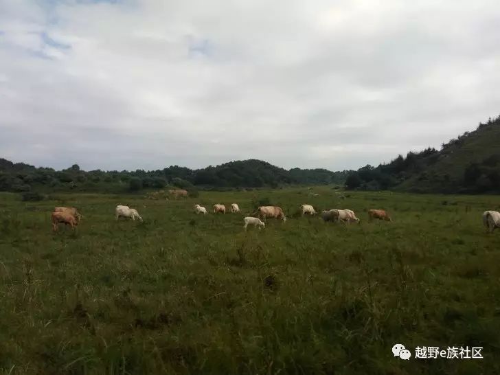 嵩县车村大草原,嵩县风景推荐