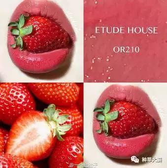 提气色的素颜口红大牌推荐,爆款热卖素颜涂都好看显白的口红