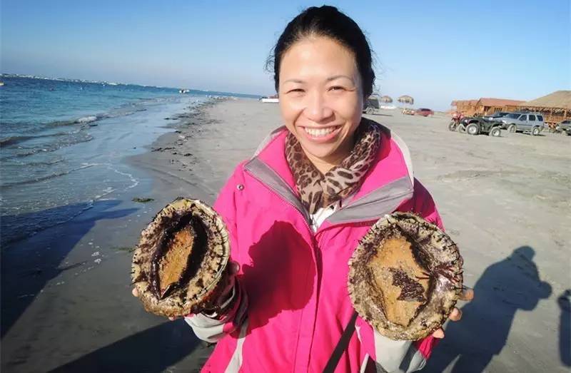 买鲍鱼注意事项,罐头鲍鱼的正确挑选方法