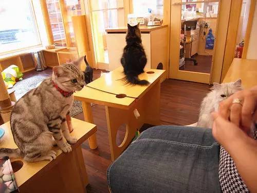 小米mix2尊享版有什么用,小米mix2尊享版入手