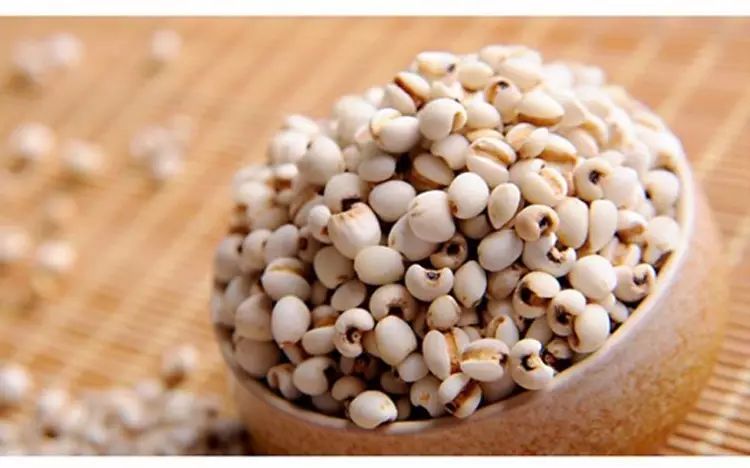 湿气重不是虚寒体质又不能喝薏米,薏米除湿为什么湿气重又不能吃