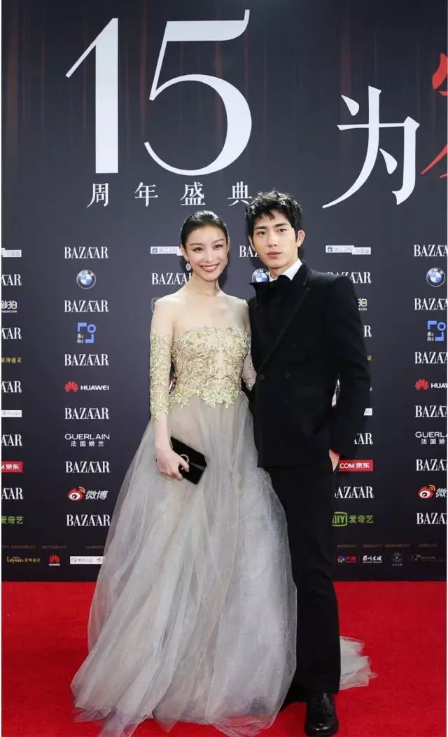 芭莎慈善夜的捐款到哪里了,芭莎慈善捐款名单曝光事件