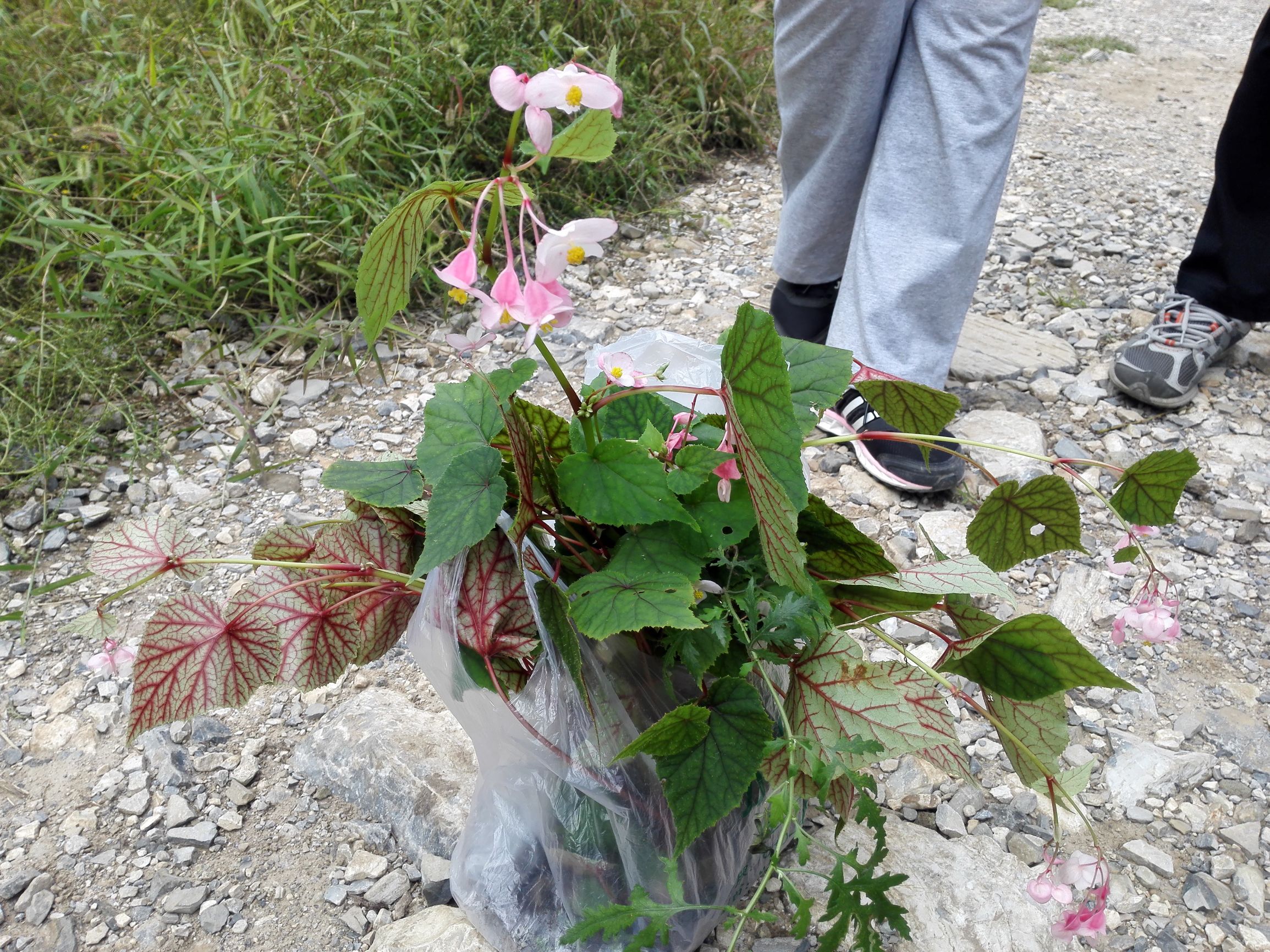 燕京八景有什么景点,燕京八景玉泉山