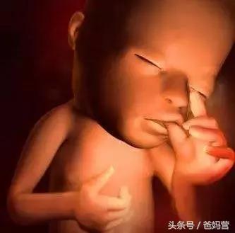 有一种瘾，叫“吃手”：如何戒掉孩子吃手的毛病？