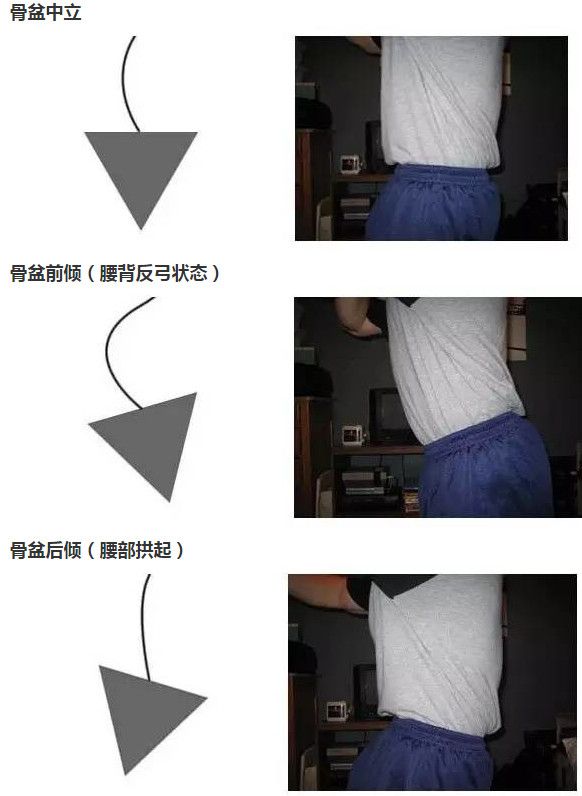 新手腹肌轮正确使用方法,小小腹肌轮