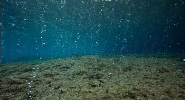 人类把自己当成万物之灵,失去人类的地球将会有什么改变