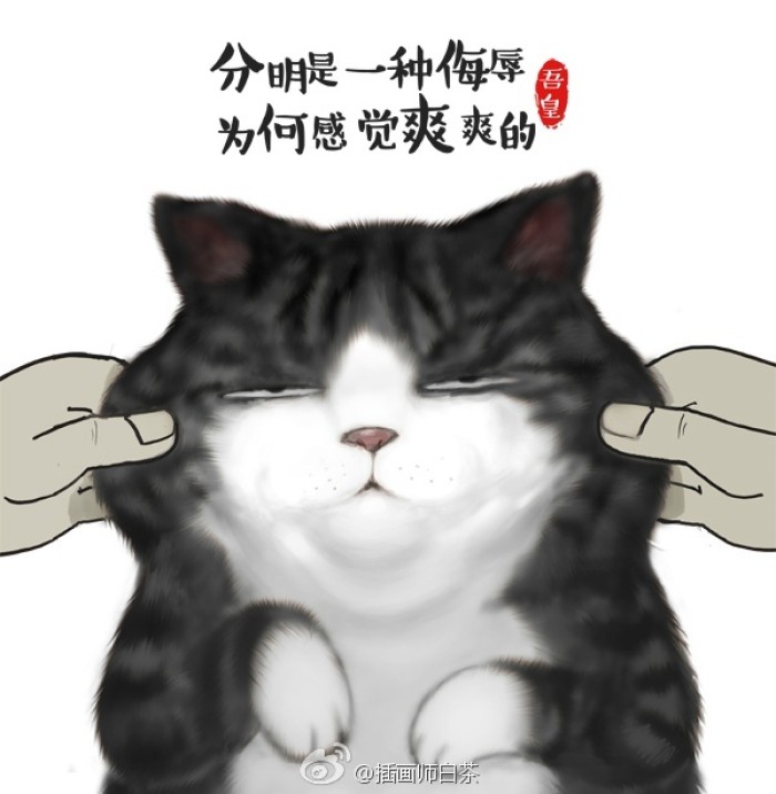 小米mix2尊享版有什么用,小米mix2尊享版入手