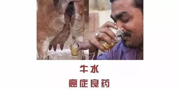 干了这杯“粪酒”,你说什么我都信!