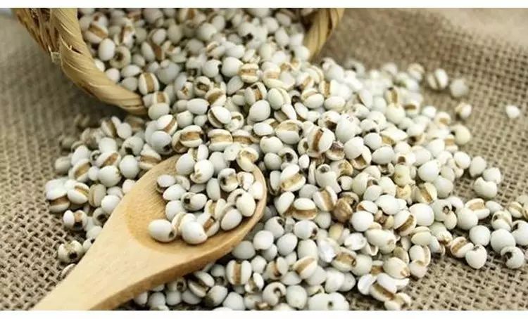 湿气重不是虚寒体质又不能喝薏米,薏米除湿为什么湿气重又不能吃