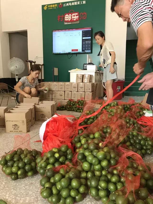 江西电商扶贫成功案例,90后农村姑娘电商创业