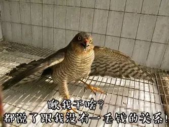 远程怀孕、无线通讯……古人们的特异功能你怕了吗！