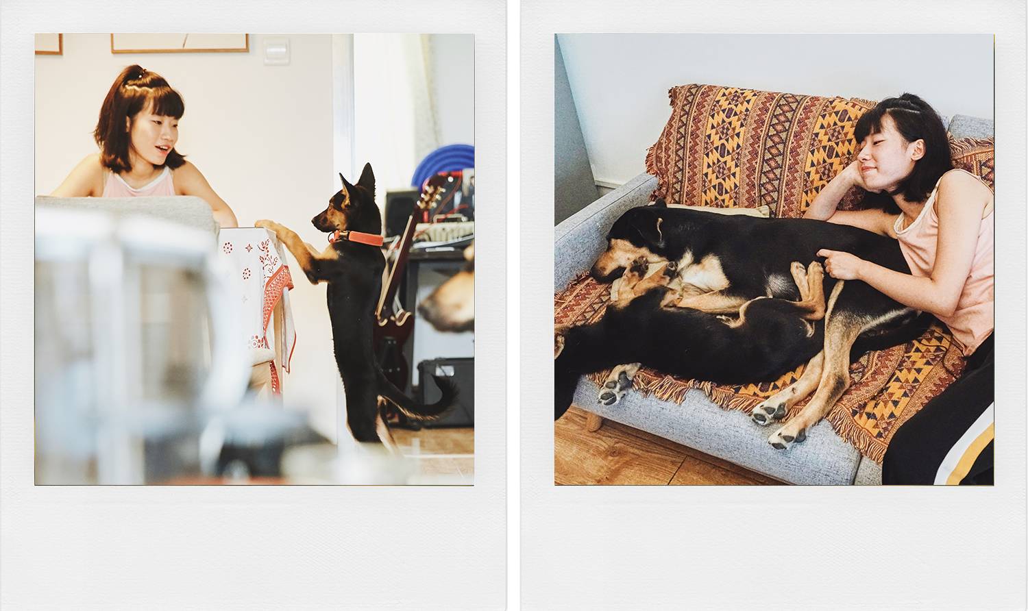 “列车运行前方:龙车站”我和TA打开了意外之门